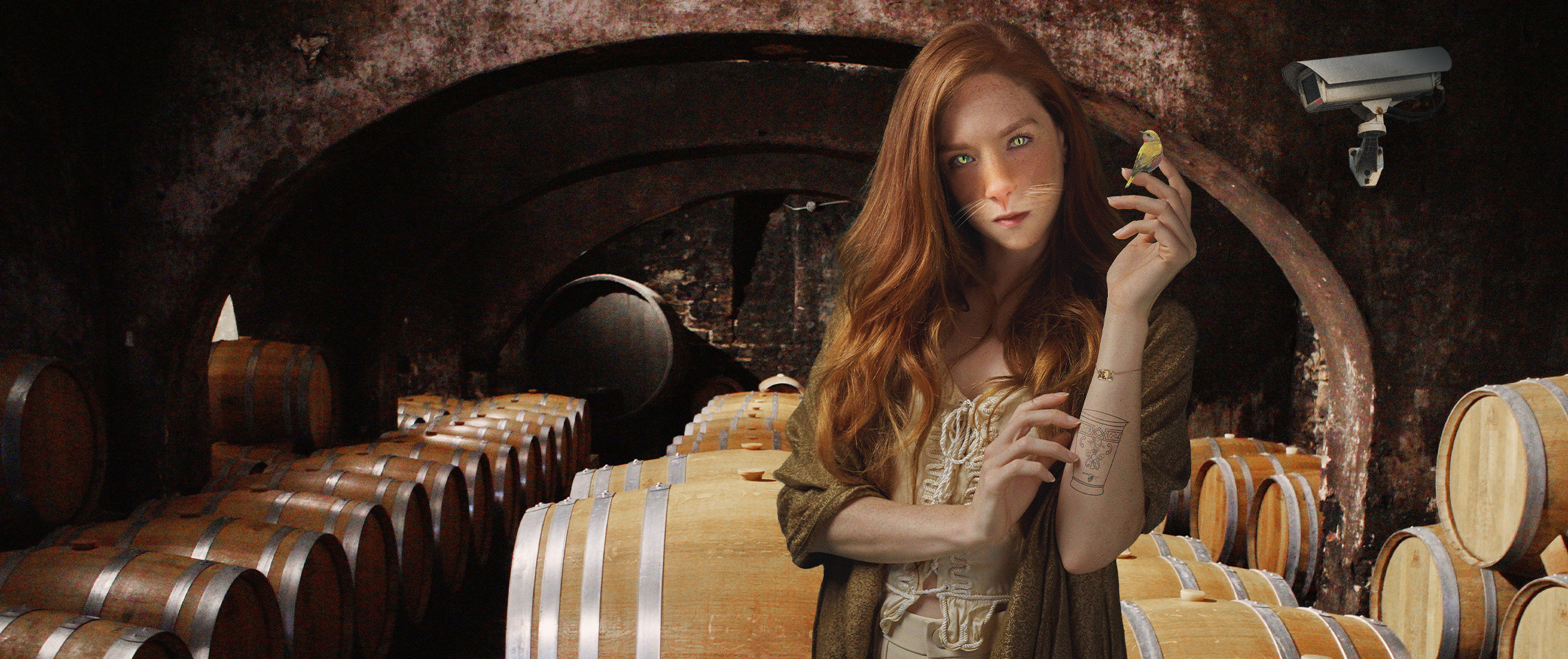 Afbeelding zonder ALT